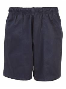 Girls Navy Shorts