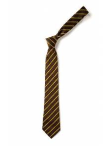 AJ840 - Elasticated Tie Brown & Gold
