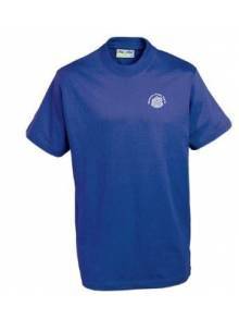 AJ007 - Adult Royal Blue T Shirt - 3TC
