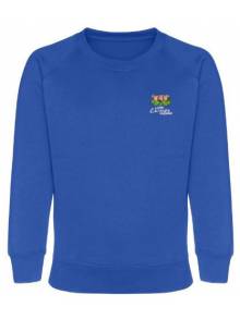 Childrens Royal Blue Sweatshirt - PSR